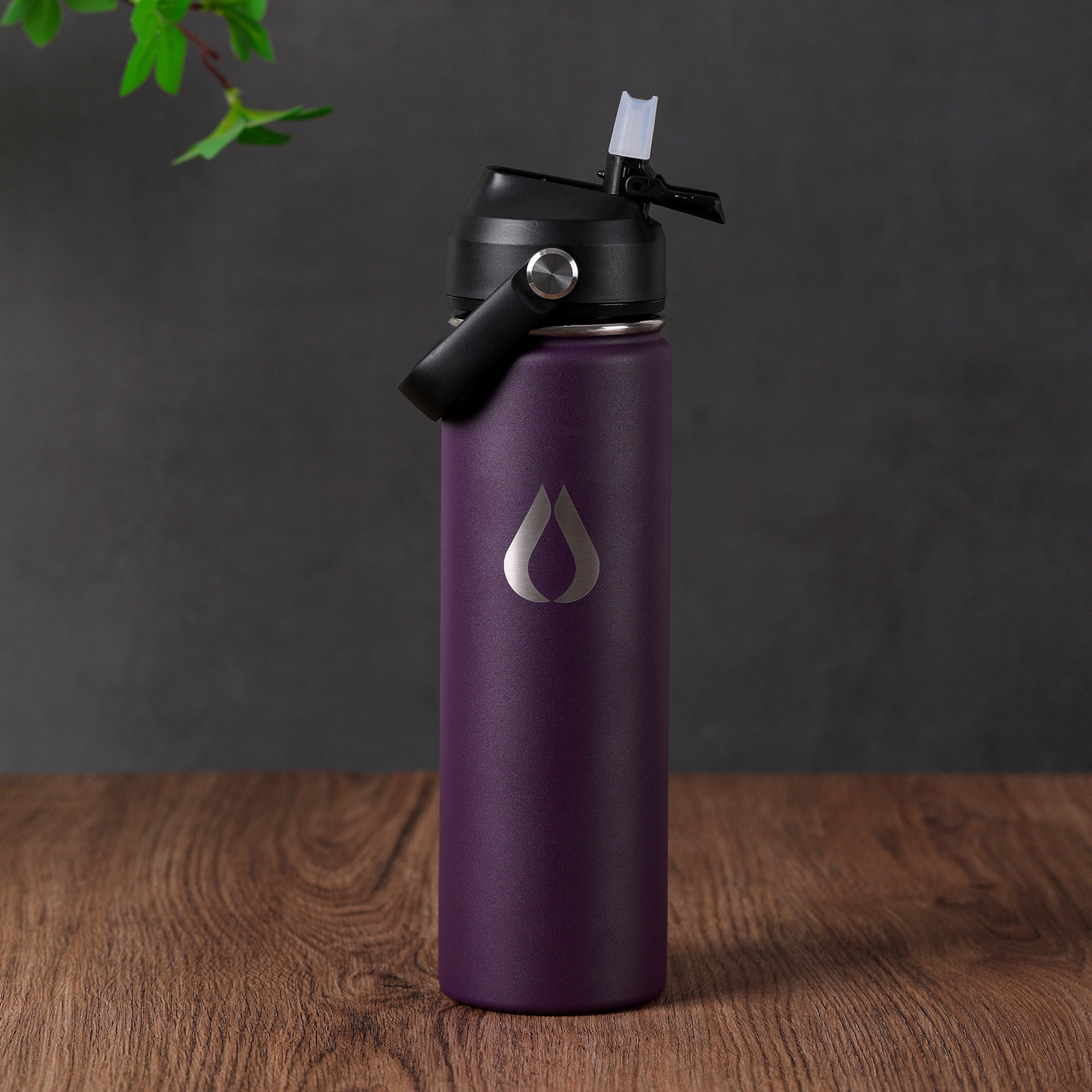 Water Bottle - 650ML - Berry
