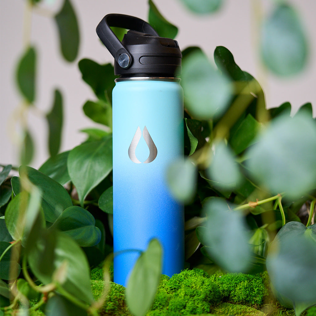 Water Bottle – 650ML – Sky