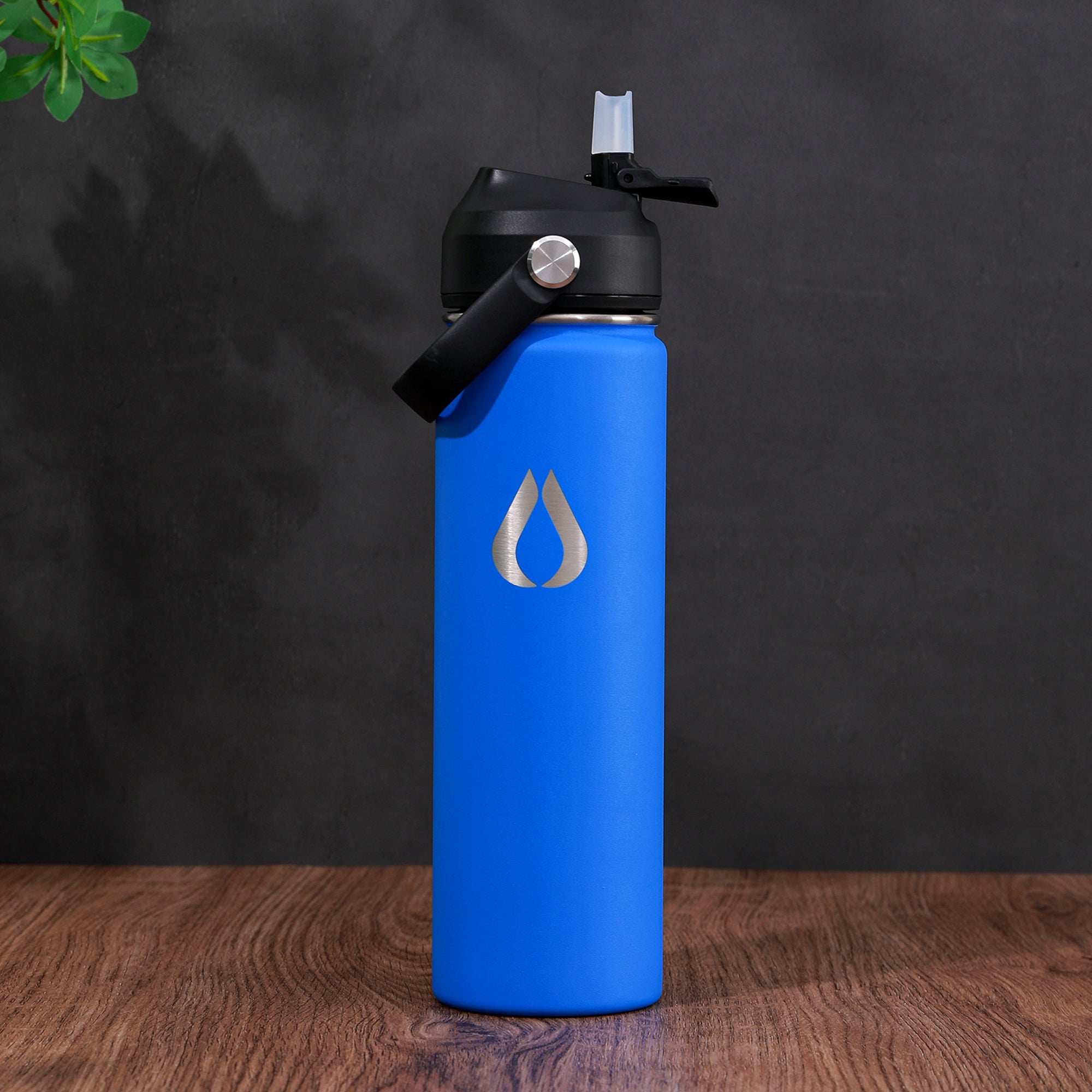 Water Bottle - 650ML - Cobalt