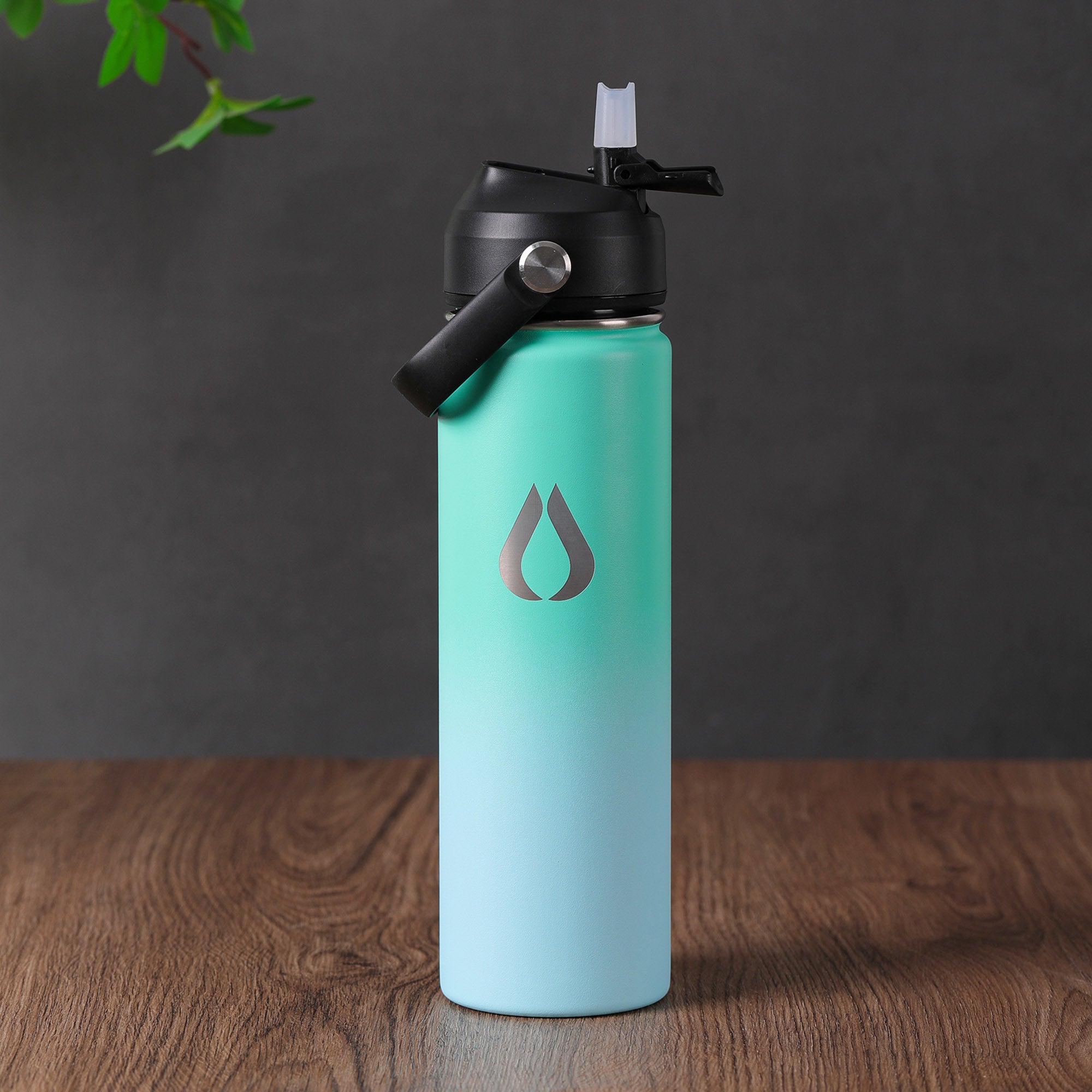 Water Bottle - 650ML - Green Sky