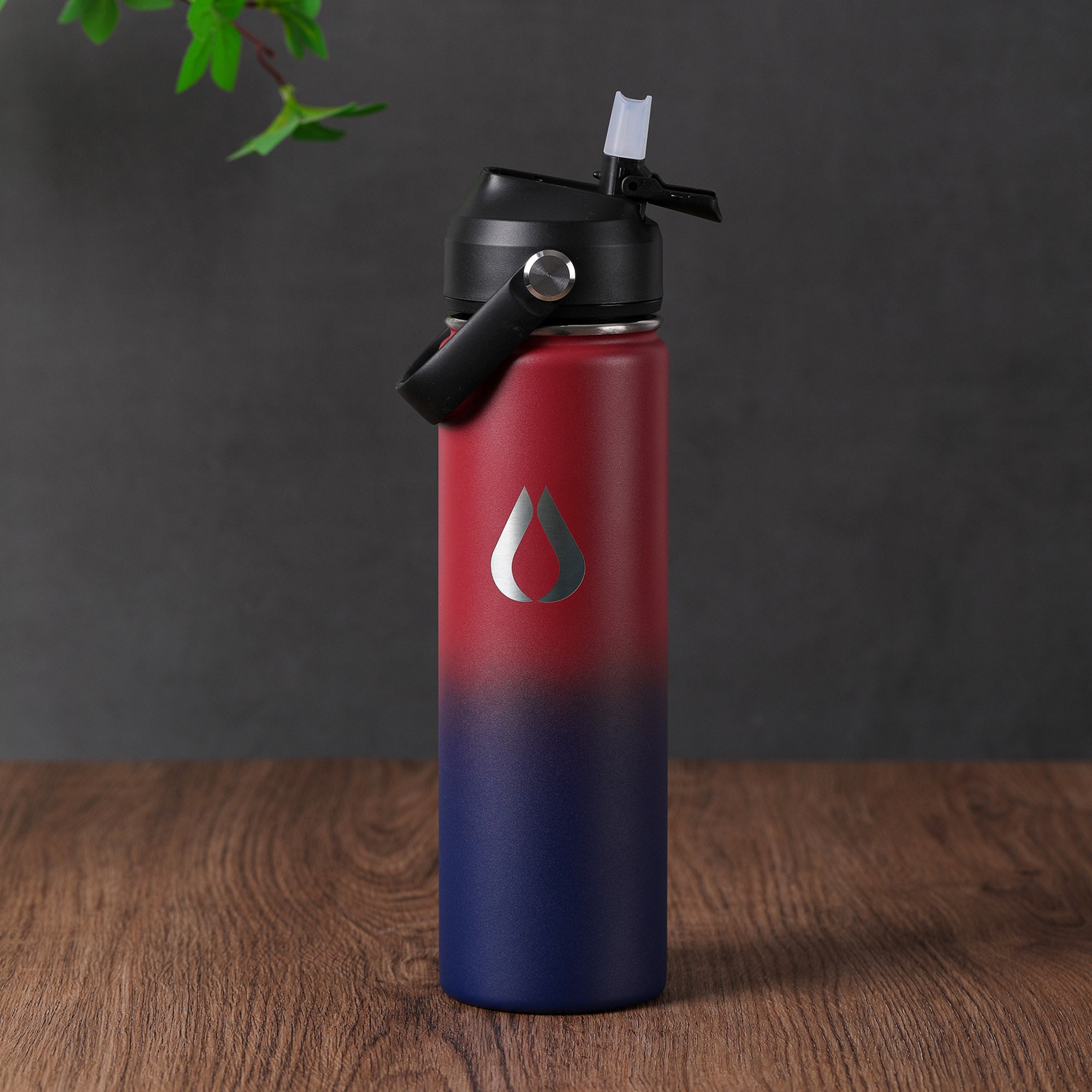 Water Bottle - 650ML - Obsidian
