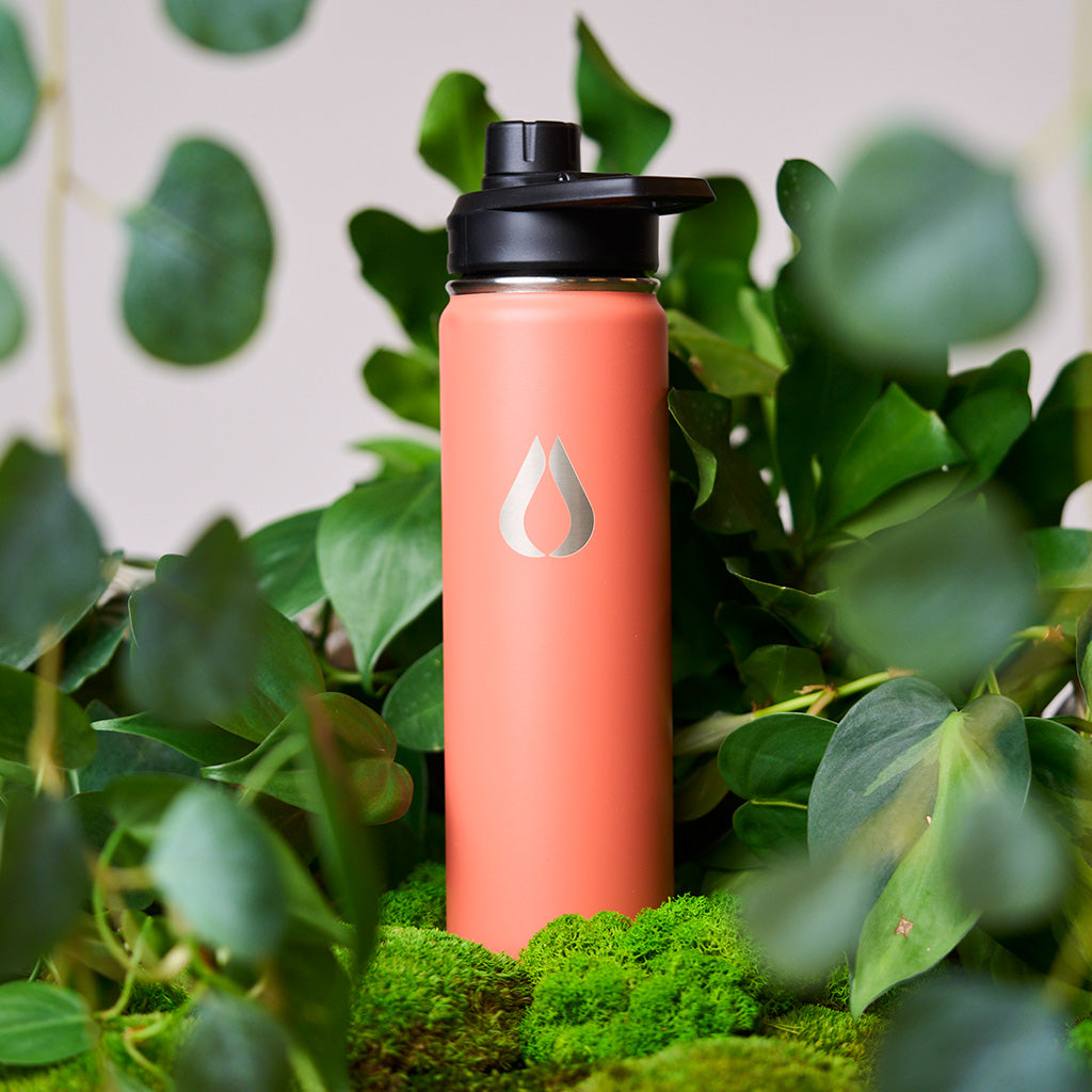 Water Bottle – 650ML – Peach